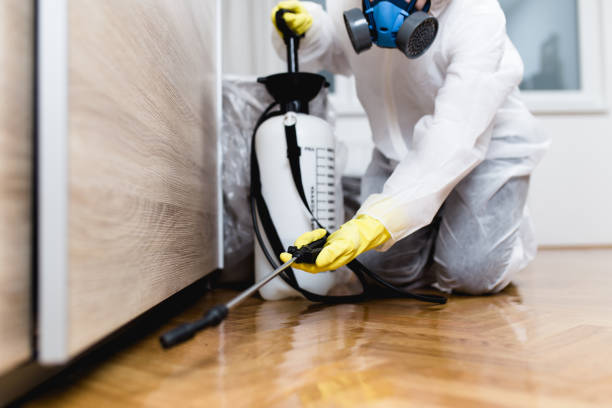 Best Insect Control  in Opelika, AL