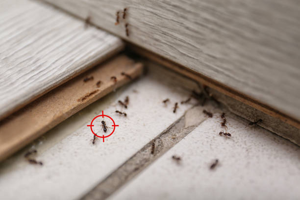 Best Pest Prevention Services  in Opelika, AL