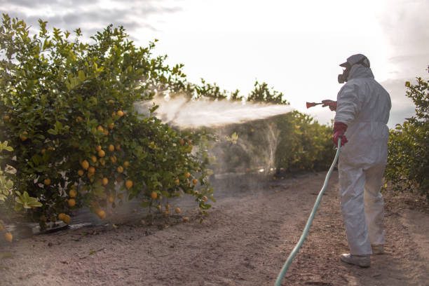 Best Best Pest Control Companies  in Opelika, AL