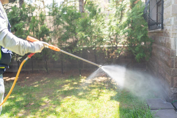Insect Control in Opelika, AL