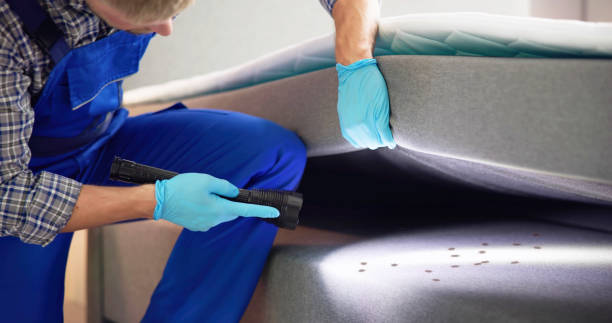 Best Termite Control Services  in Opelika, AL