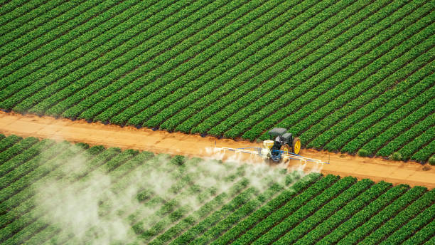 Best Pest Removal Services  in Opelika, AL