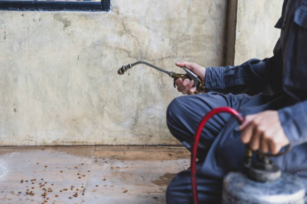 Professional Pest Control in Opelika, AL